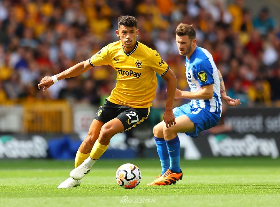 与持续进步 与持续进步